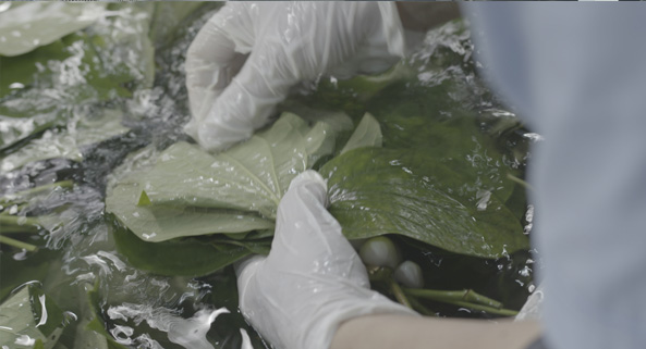 Tất cả c&aacute;c loại thực phẩm đều được chăm ch&uacute;t từng chi tiết v&agrave; lặp lại 3  lần